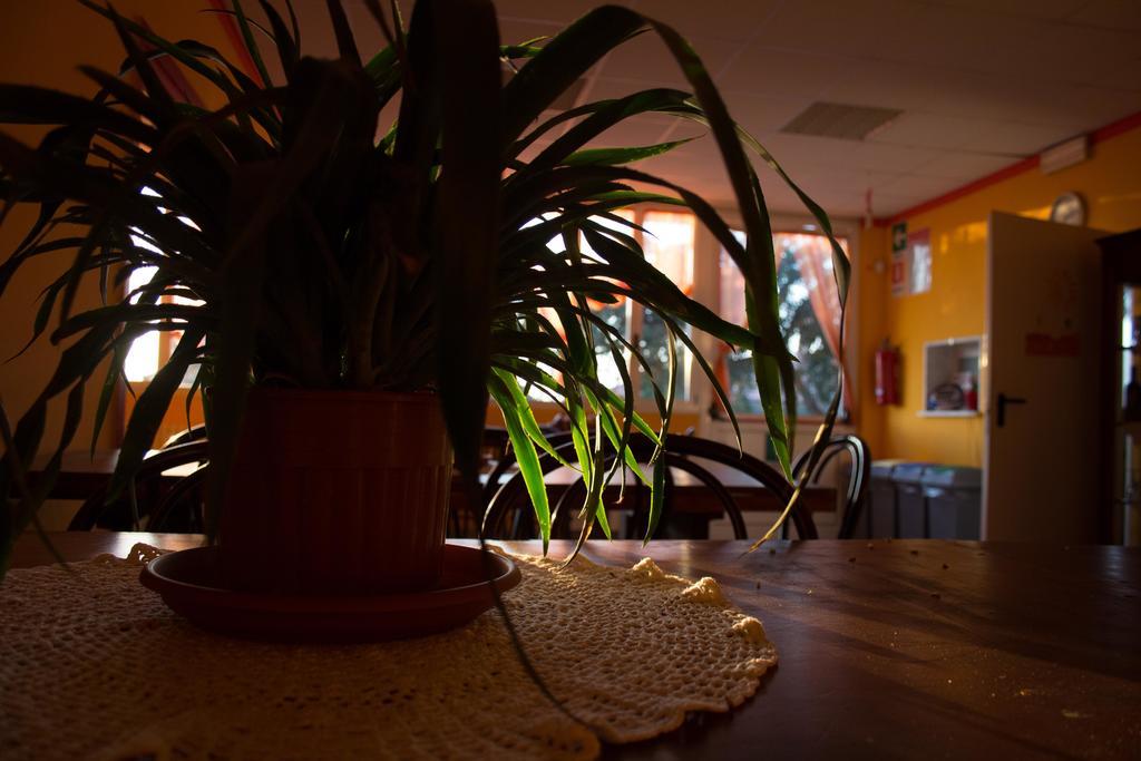 Casa Per Ferie Raggio Di Sole Bed & Breakfast Ceriale Ngoại thất bức ảnh